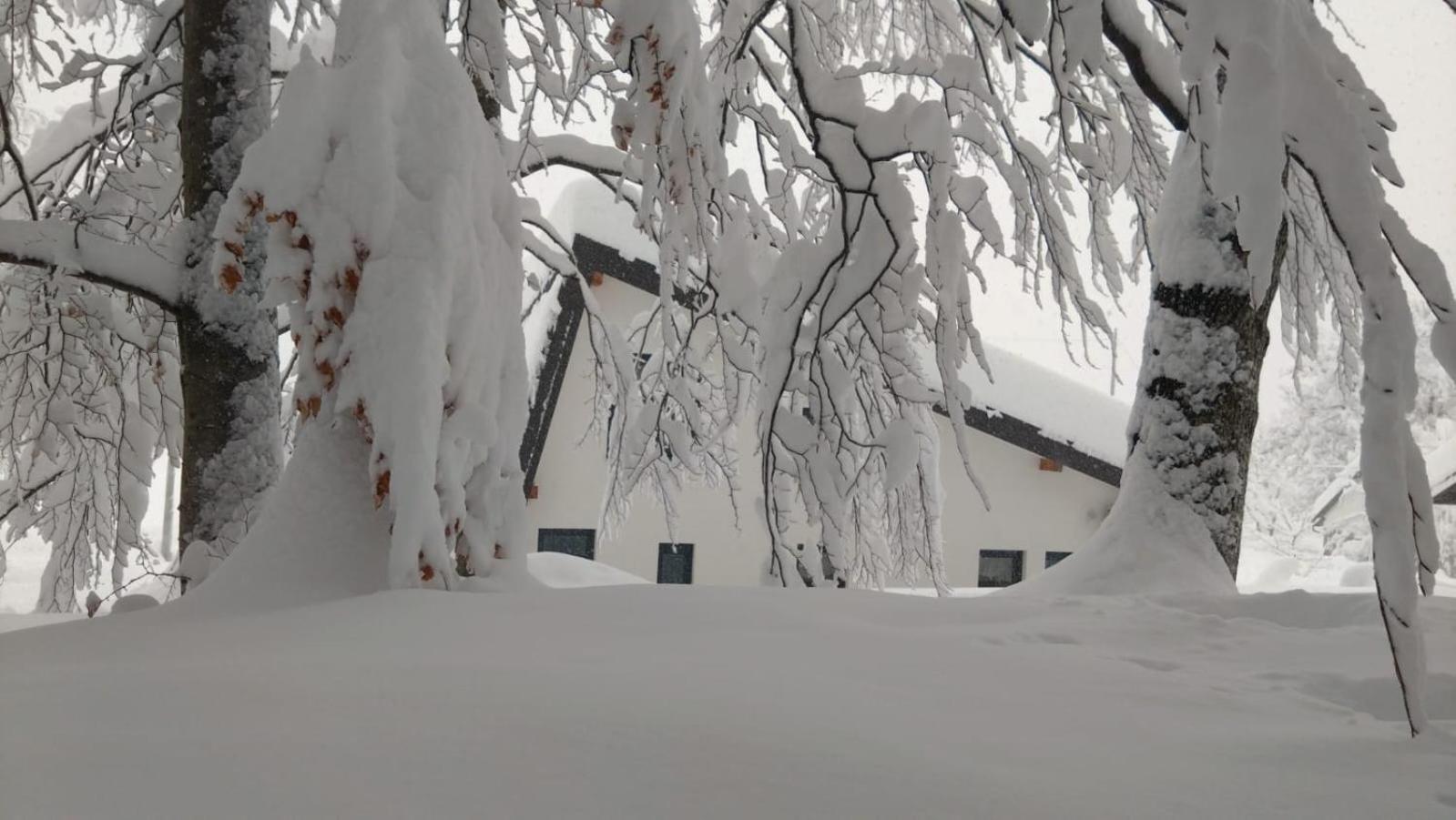 فيلا Oak House Brusane المظهر الخارجي الصورة